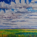 brucethompson-n9011-prairie-after-the-rain-24x36